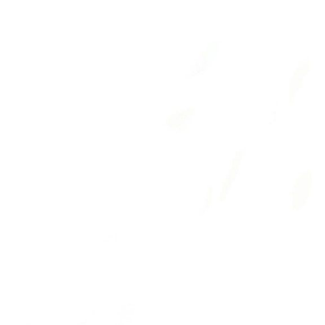 Captura de ecrã 2020-01-09, às 12.20.26